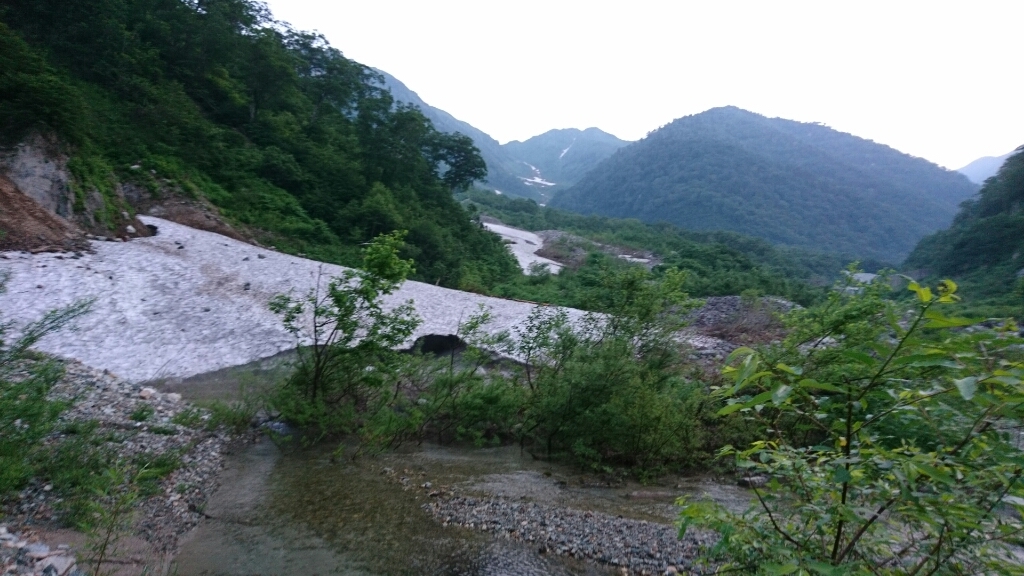 b0148050_15350390.jpg