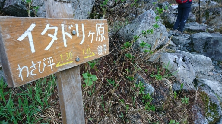 b0148050_18330645.jpg