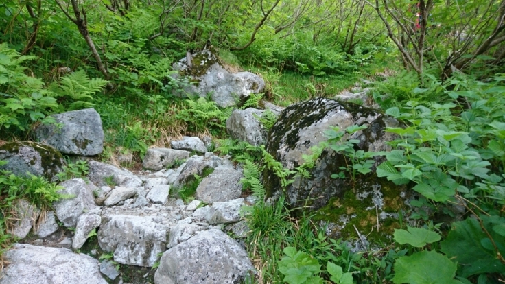 b0148050_18331921.jpg