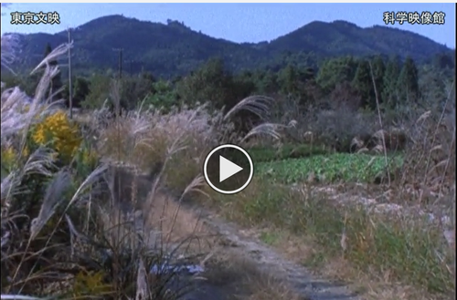 今週の先行配信映画は「るさとのふ山々*大和の青垣」_b0115553_6465966.png