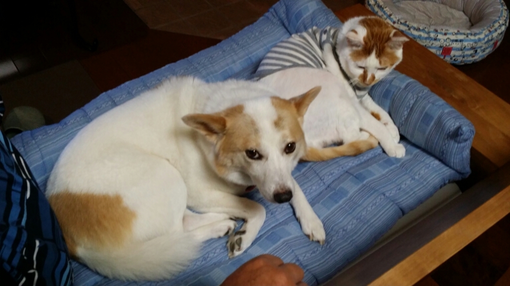 f0046854_22013618.jpg