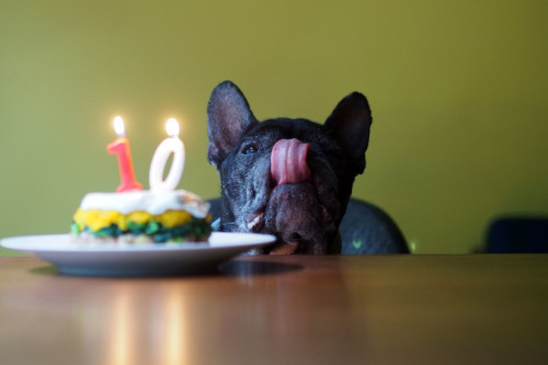 happy10th birthday to Cojill_e0243765_08431050.jpg