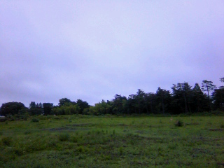 f0291565_92353.jpg