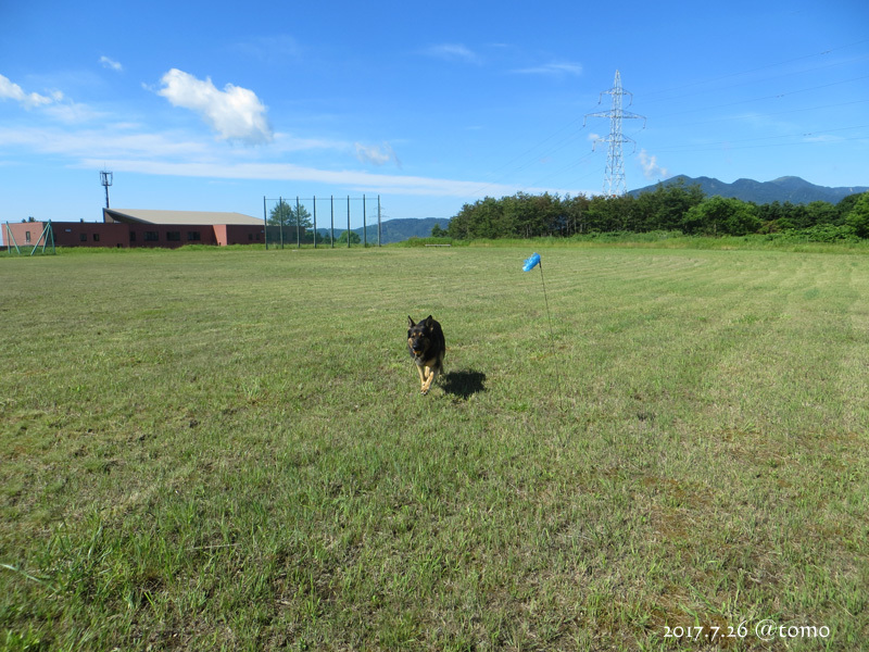 遊んできた♪_f0067179_12395753.jpg