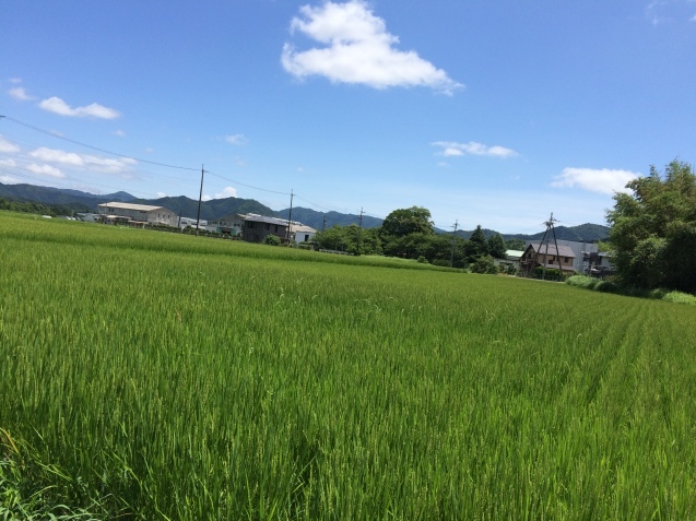 f0379286_19110699.jpeg