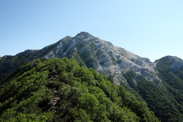 b0339488_19545880.jpg