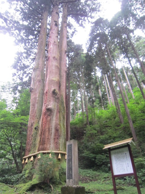 龍門の滝・月待ちの滝・御岩神社・大谷資料館（20170725）_a0308789_14295000.jpg