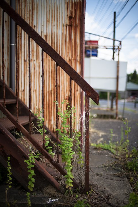 夏雲の下の哀愁_d0353489_738179.jpg
