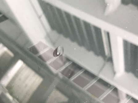 b0364791_13104331.jpg