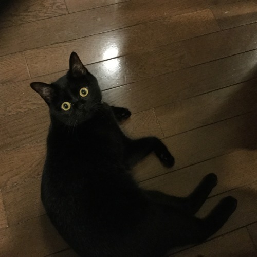 ちいさいもの　（２）_e0358096_20381895.jpg