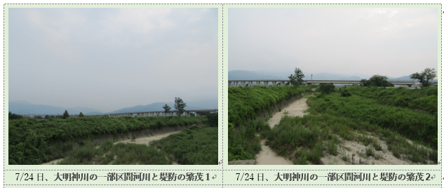 f0231709_17180763.png