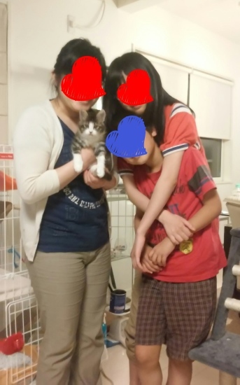 e0144012_16292979.jpeg