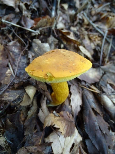 f0360815_16200014.jpg