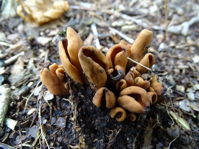 f0360815_16200418.jpg