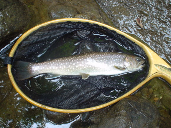 f0280717_15190962.jpg