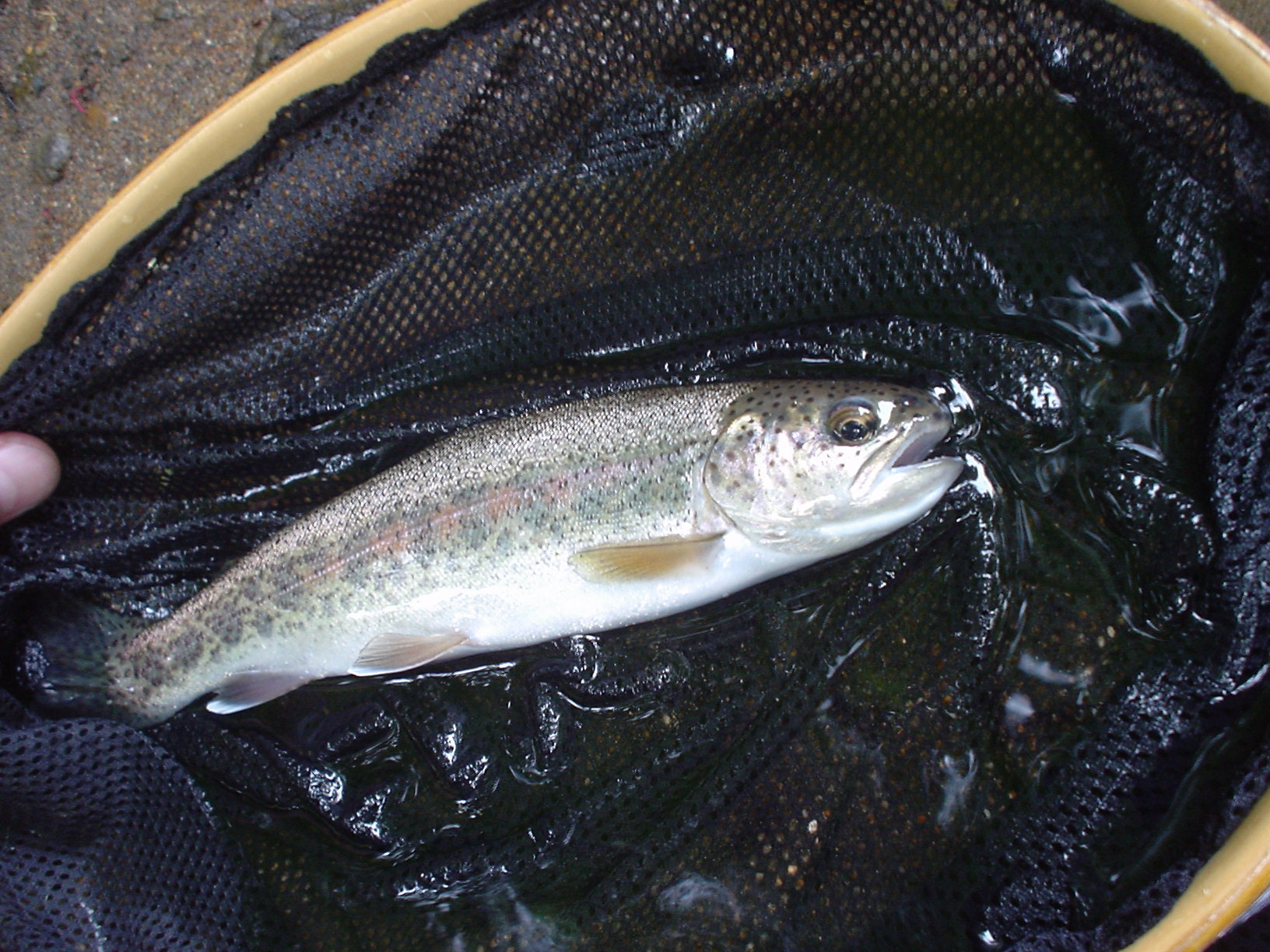 f0280717_15193047.jpg
