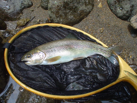 f0280717_15235818.jpg