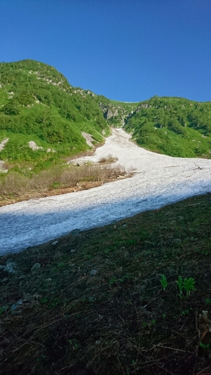 b0148050_08330225.jpg