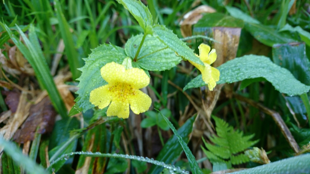 b0148050_08330689.jpg