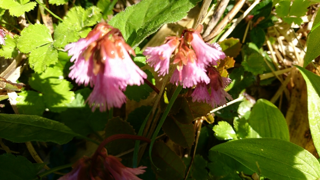 b0148050_08331205.jpg