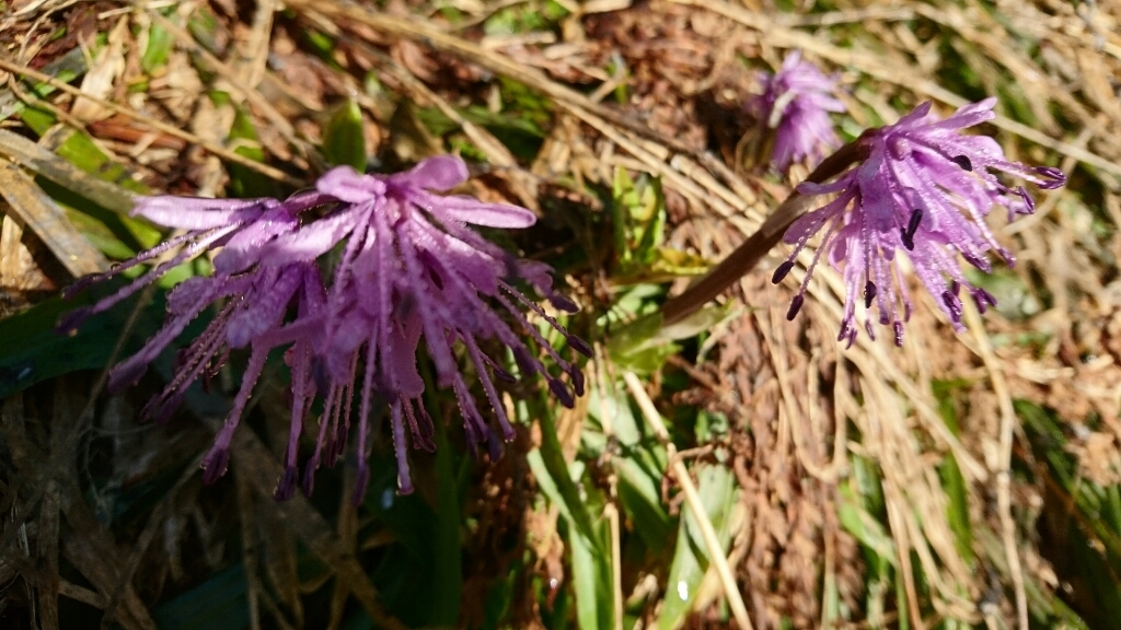 b0148050_11110423.jpg