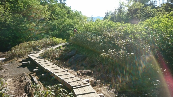 b0148050_11244379.jpg