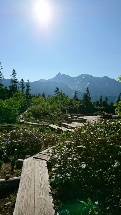b0148050_11244524.jpg