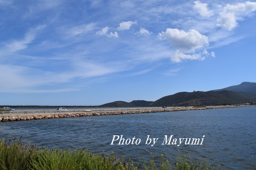 想像以上に素敵な町、オルベテッロ♪_c0206352_05595446.jpg