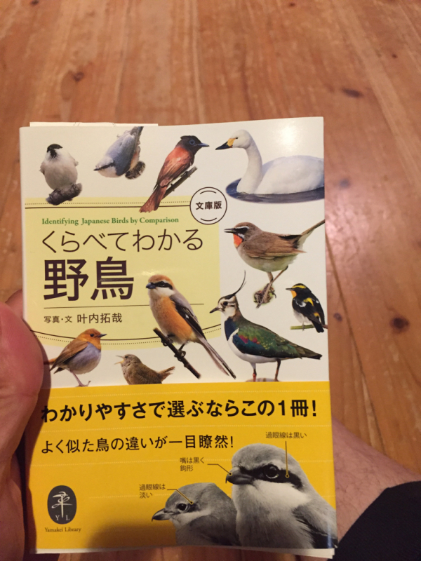 くらべてわかる野鳥 アナログの家が好き 高座山の工務店です