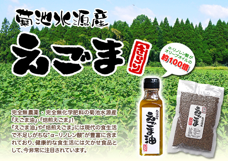 「菊池水源産エゴマ」　平成29年度もしっかり手をかけ無農薬、無化学肥料で育てます！白エゴマの土寄せ作業！_a0254656_17083029.jpg