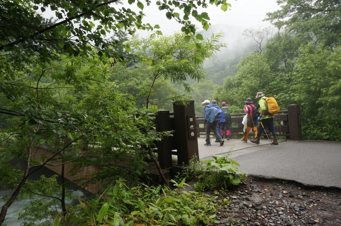 霧雨の上高地トレッキング　(^^)/_a0195071_10253609.jpg