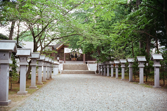 信濃神社と弟の闘病_c0182775_17462656.jpg