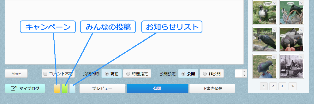 エキサイト編集画面のアレンジ（39） 「キャンペーン枠・みんなの投稿枠・お知らせリスト」の統合オプション_a0349576_23404316.png