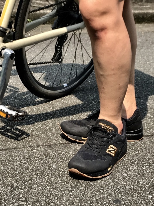 自転車通勤 ★★★_d0152280_15531564.jpg