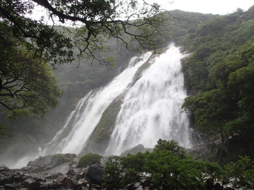 f0223480_23082443.jpg