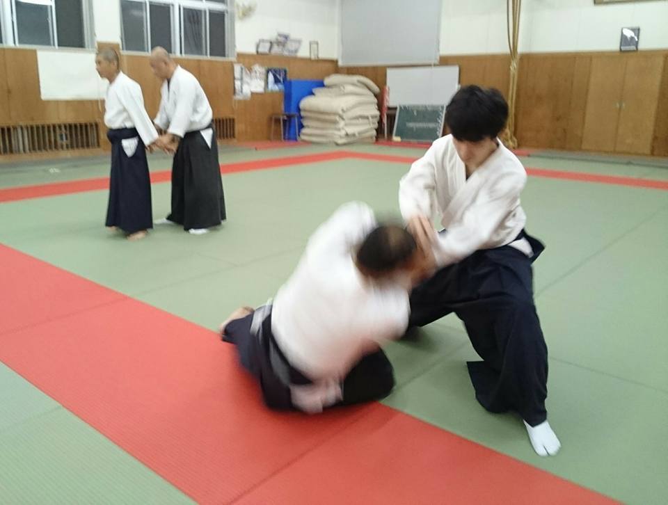 大東流、兵法二天一流 平成二九年七月稽古 _b0005281_20563491.jpg