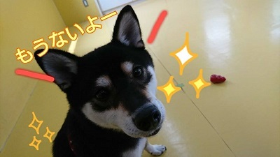 上手にできました♪_f0357682_21244222.jpg