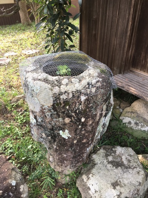 f0379286_19585356.jpeg