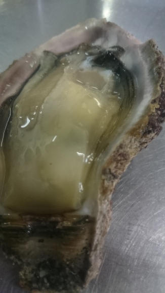☆親不知の天然 岩牡蠣が大人気☆_d0235898_19090550.jpg