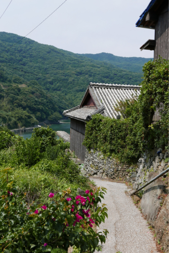 天界の村を歩く 佐田岬半島(愛媛県)_d0147406_21422087.jpg