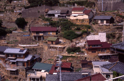 海界の村を歩く 沖ノ島（高知県）_d0147406_23291878.jpg