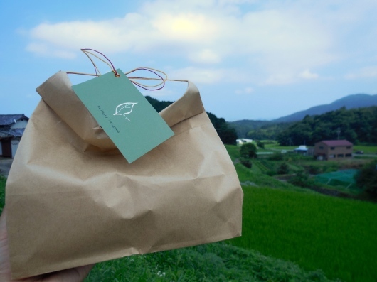 今日のこと 7月 30日_d0263607_15044847.jpg