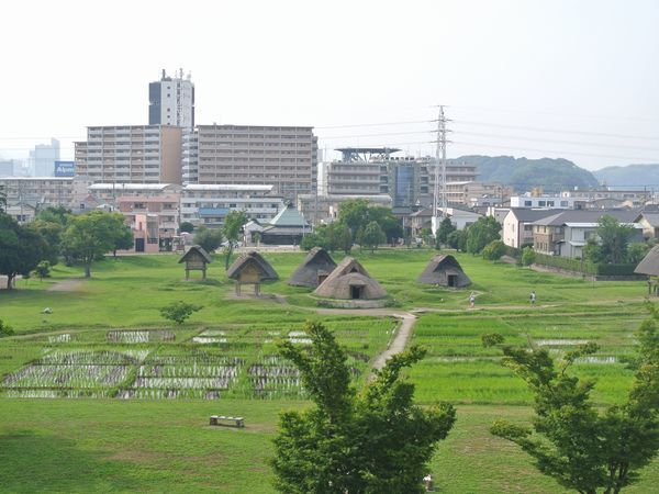 f0006510_20134060.jpg