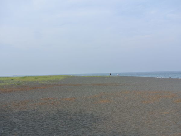 f0006510_20244722.jpg