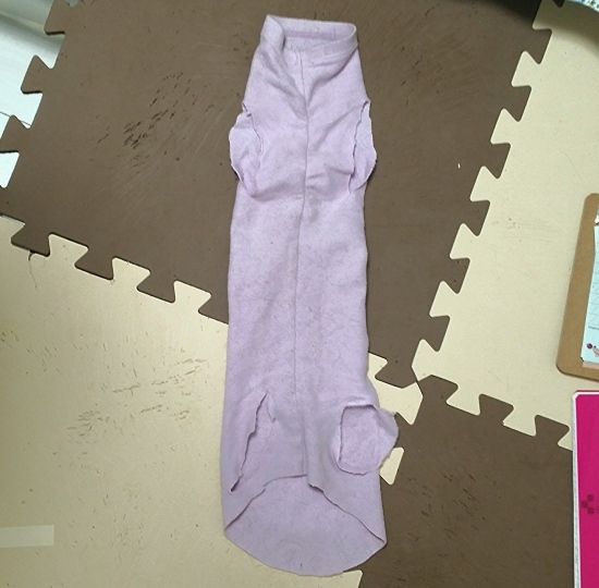 e0144012_15242721.jpeg