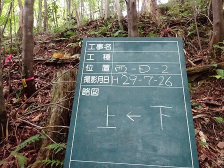 みんなの森活動日記_d0105723_13362386.jpg