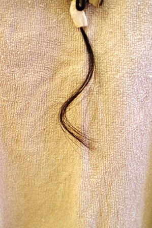 c0109726_18101115.jpg