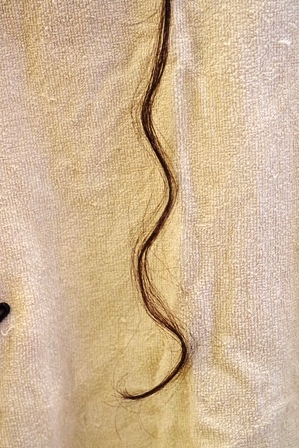 c0109726_18173146.jpg