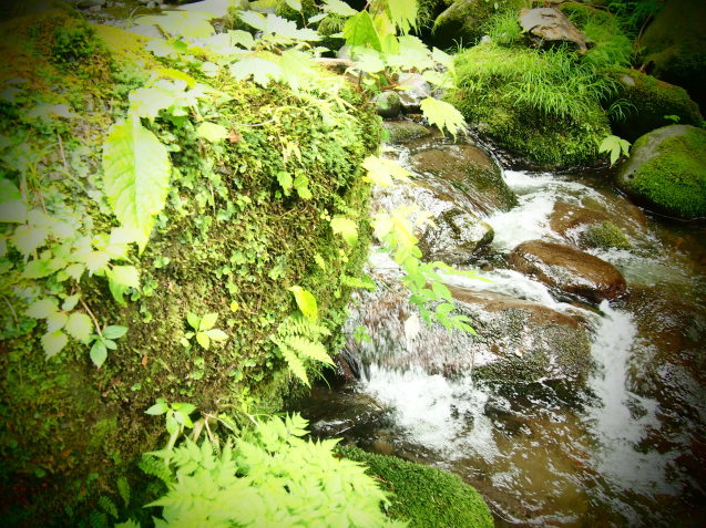 c0103830_18100133.jpg