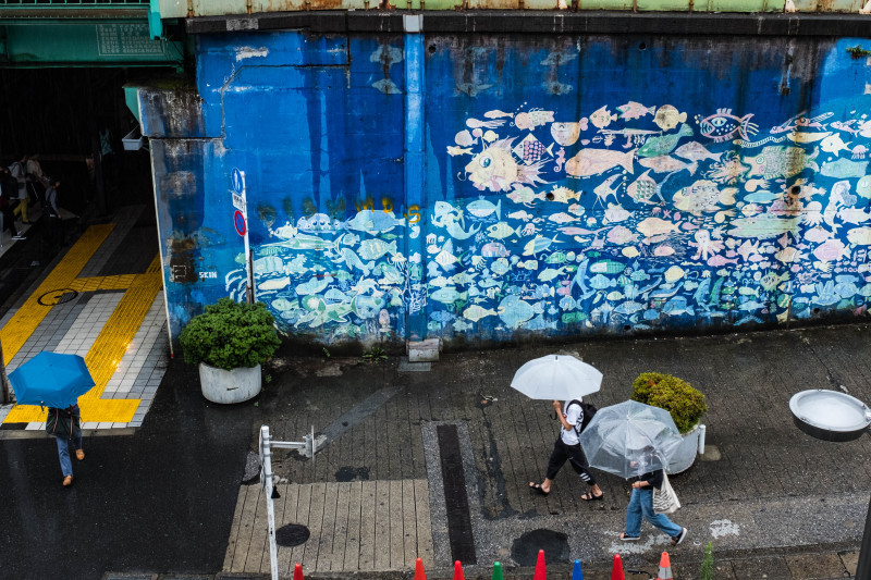 Rain　　・・・夏の雨の日は・・・_f0333031_05133726.jpg